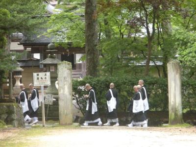 Monks everywhere